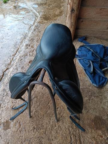 Selle de dressage Antares Cadence 17.5