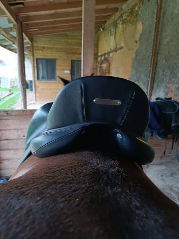 Selle de dressage Antares Cadence 17.5