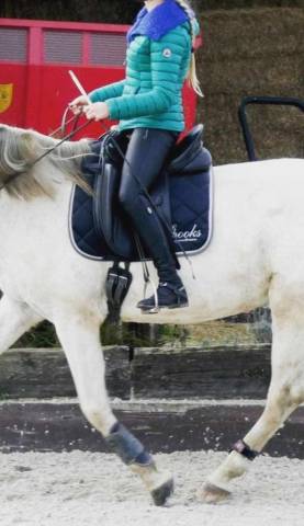 Selle de dressage Zaldi PLATINUM 