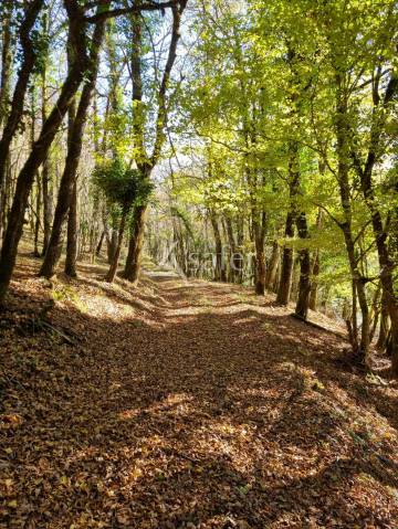 Demeure de caract&egrave;re en pleine nature sur 67 ha d'un seul tenan