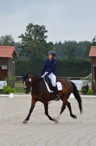 Selle Antarès Tempo 17'5 Q3 2018