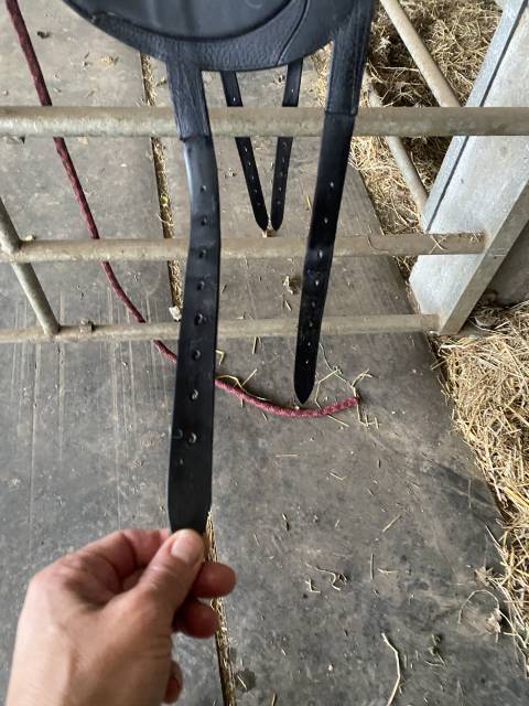 Urgent selle à vendre - 