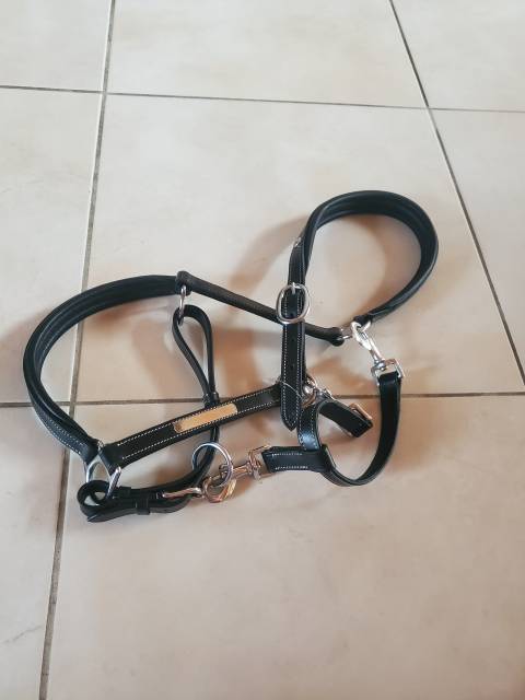 Licol Norton cuir