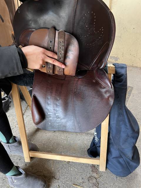 Selle Bruno Delgrange 