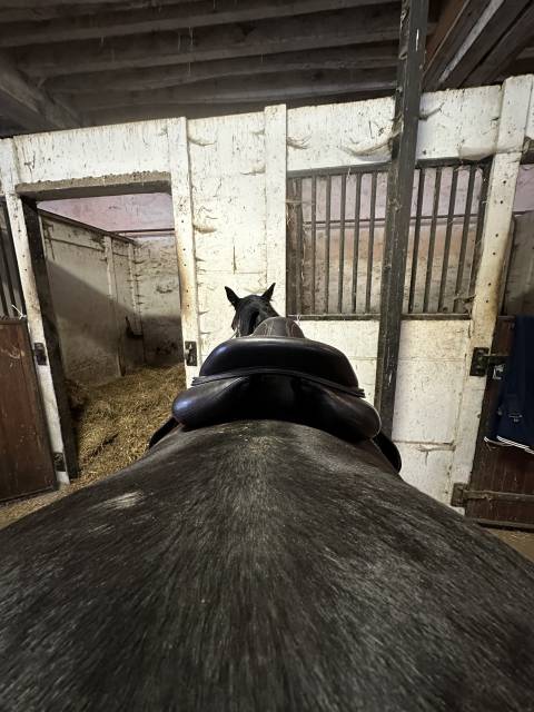 Selle Devoucoux Biarritz S