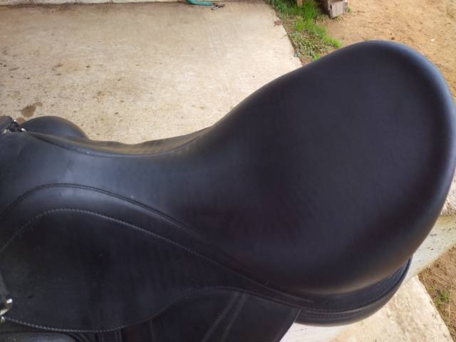 Selle de dressage 