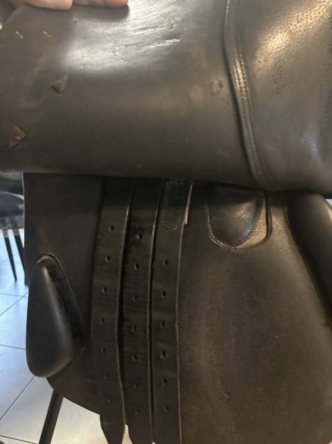 selle forestier Mixte noire 17,5P Ludo philipaert