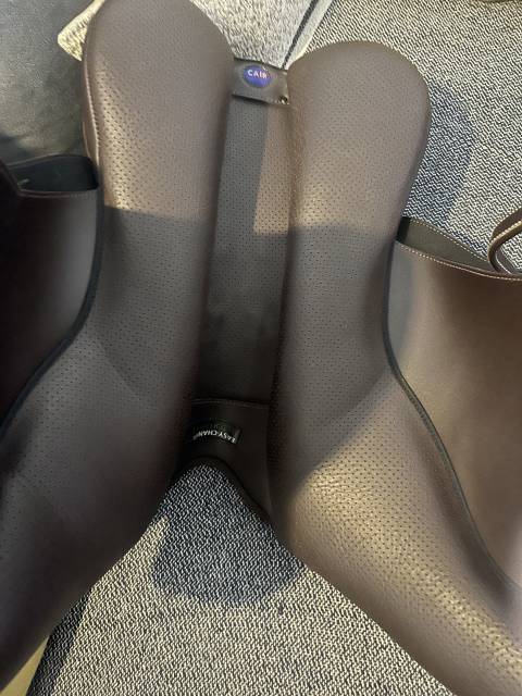 Selle Wintec 500 Mixte Hart 17,5 pouces