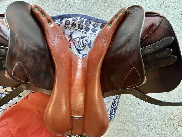 Selle mixte 17,5 pouces Equipe 