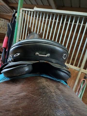 Selle zaldi bereber endurance 