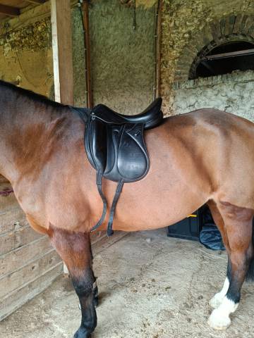Selle de dressage devoucoux Makila 