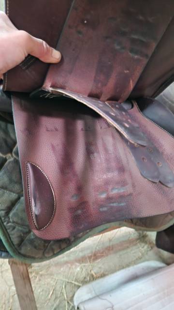 Selle Forestier Séoul de 2022