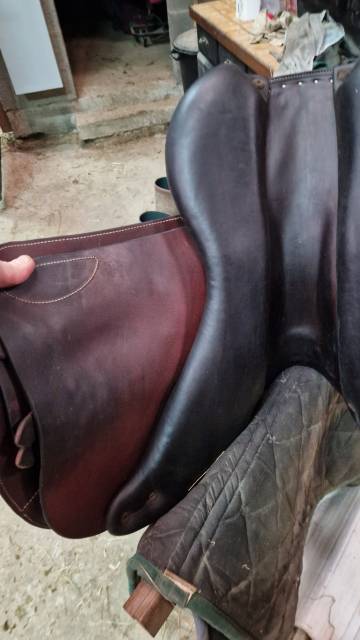 Selle Forestier Séoul de 2022