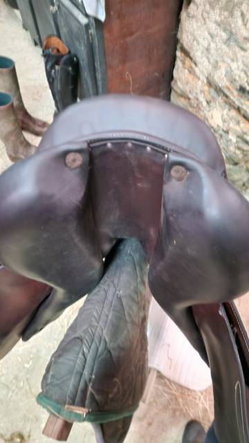 Selle Forestier Séoul de 2022