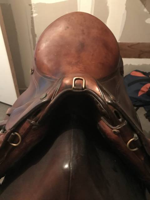 Selle randonnée Trec Forestier