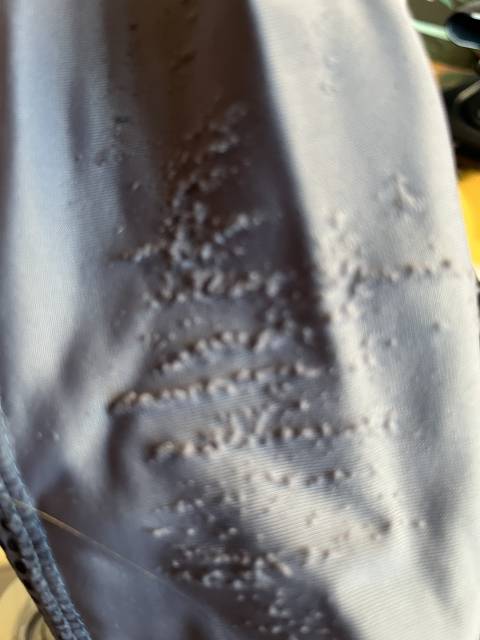 Pantalon équitation enfant taille 14 ans