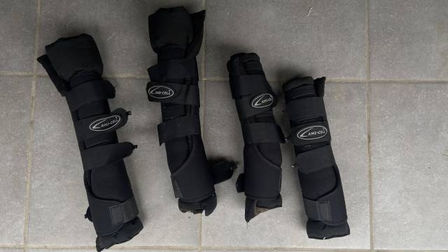 Bandes de transport – Excellente protection et état