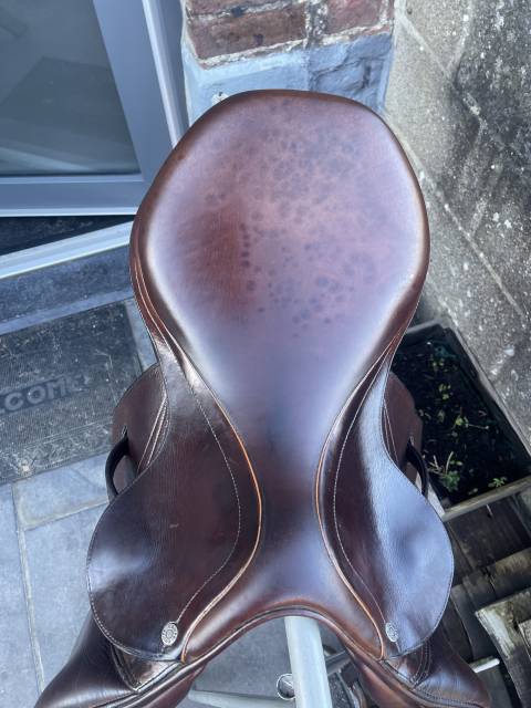 Selle équipe expression spéciale 