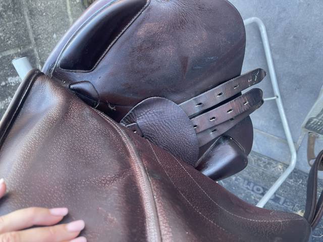 Selle équipe expression spéciale 