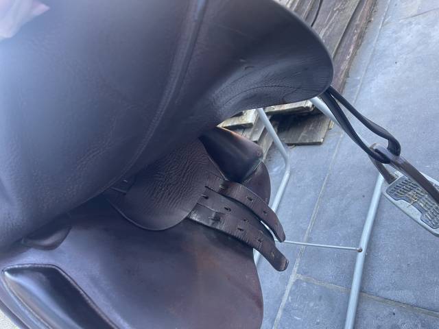 Selle équipe expression spéciale 