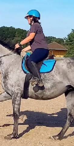 Tapis de selle bleu Equithème