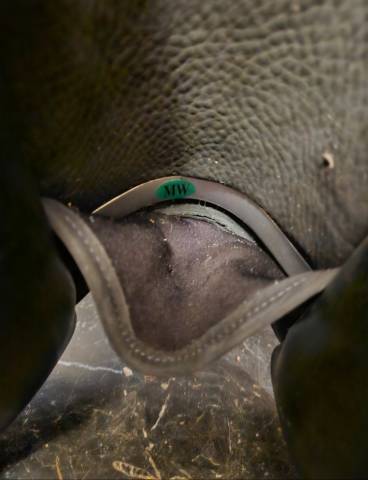 Selle IKONIC dressage 17.5