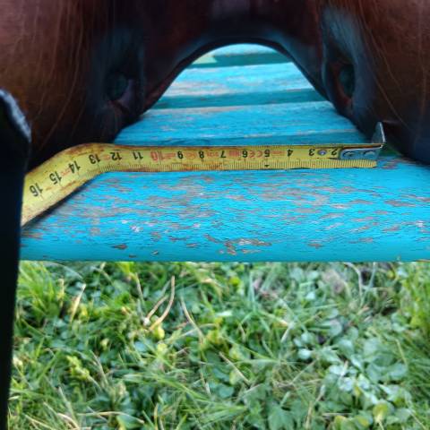 Selle Dressage Devoucoux  18 pouces