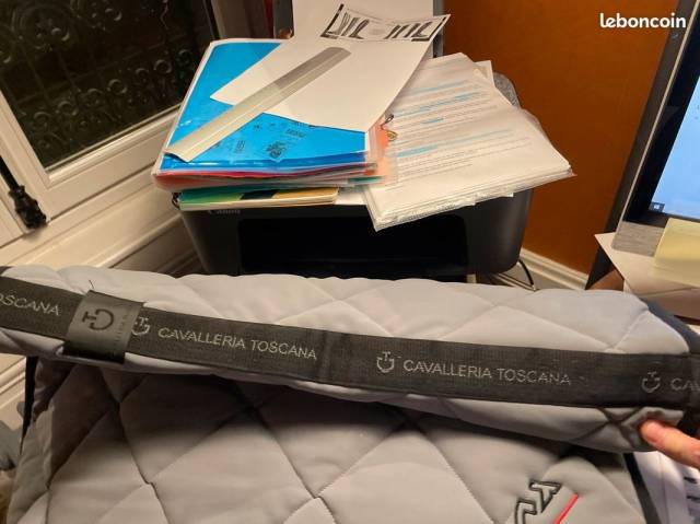 Tapis Cavaleria Toscana GRIS PERLE