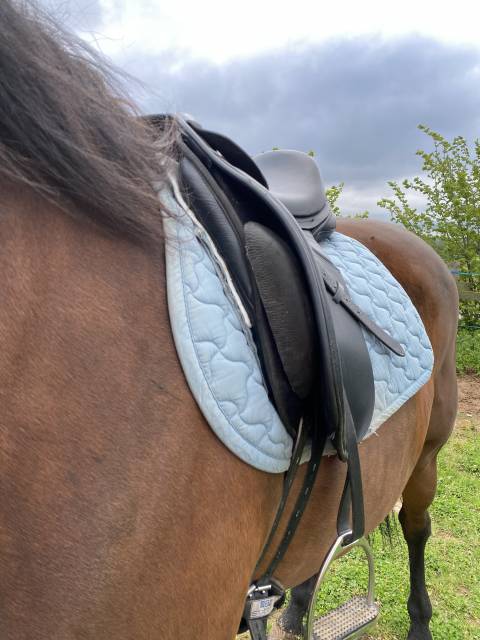 Selle dressage thorowgood 18"