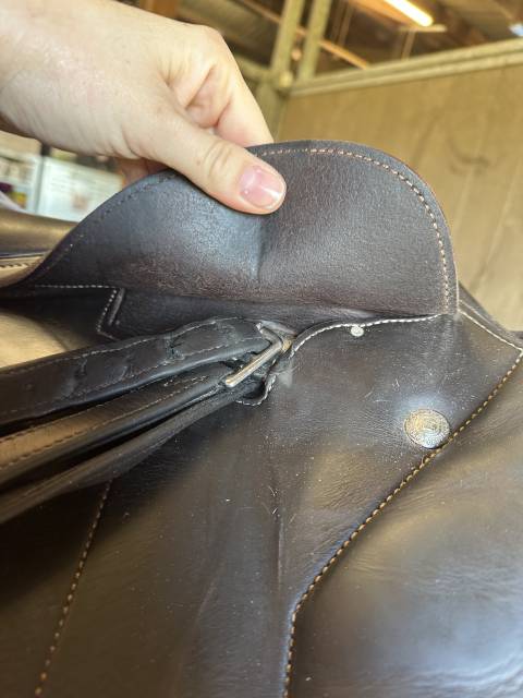 Selle renaissance mixte 18’ année 2021