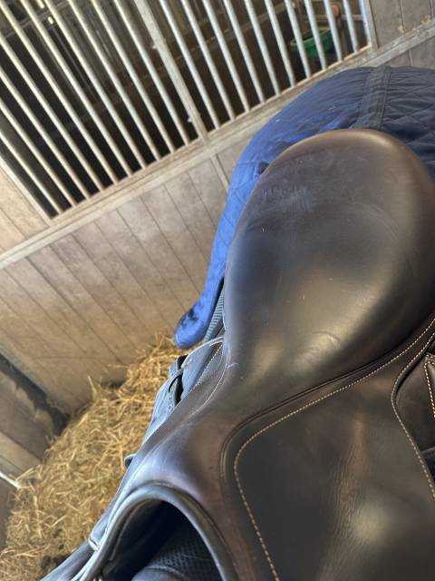 Selle renaissance mixte 18’ année 2021