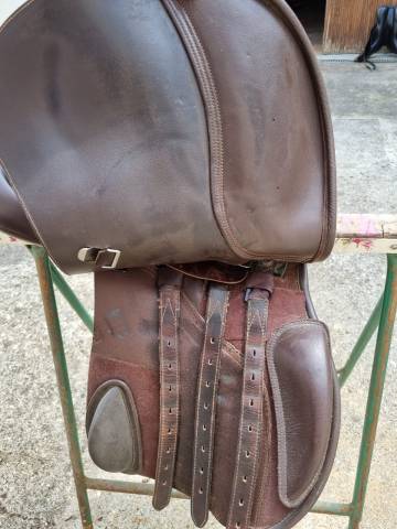 Selle Bates élévation 2014