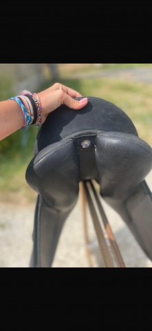 Selle dressage Wintec
