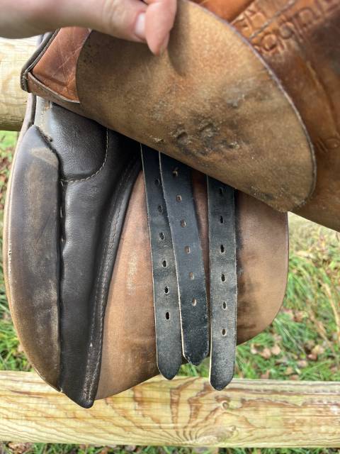 Selle Stübben type dressage