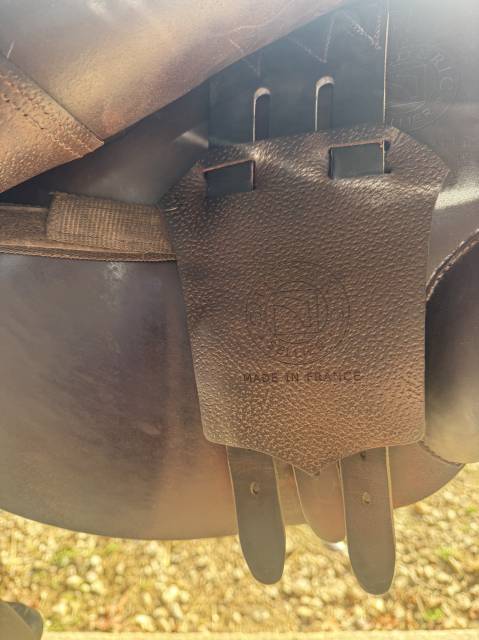 Selle childeric FMC de 2023