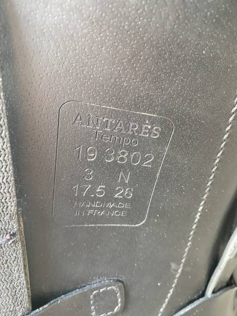 Selle Antares modèle Tempo 