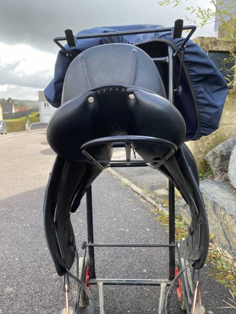 Selle Antares modèle Tempo 