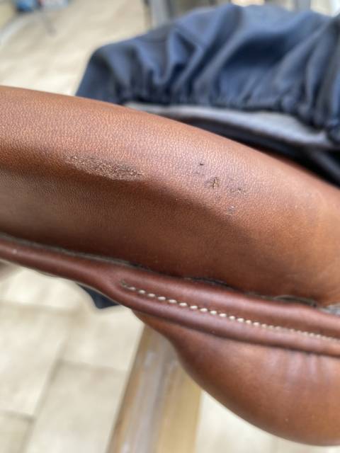 Selle d&rsquo;obstacles Antares mod&egrave;le Altair 