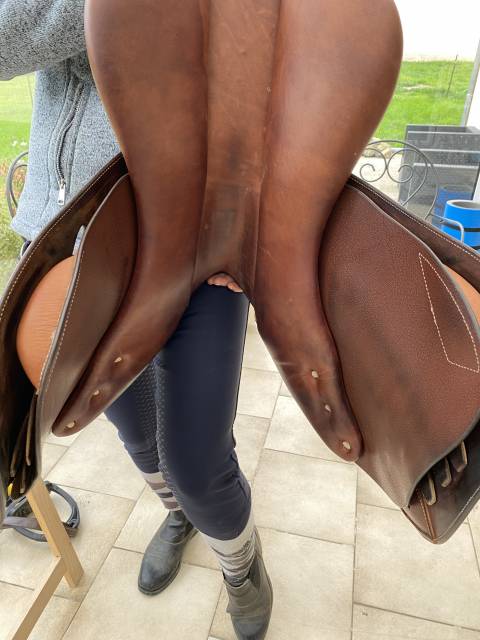 Selle d&rsquo;obstacles Antares mod&egrave;le Altair 