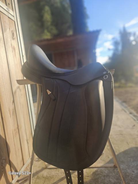 Selle Equipe Viktoria 2024 Dressage