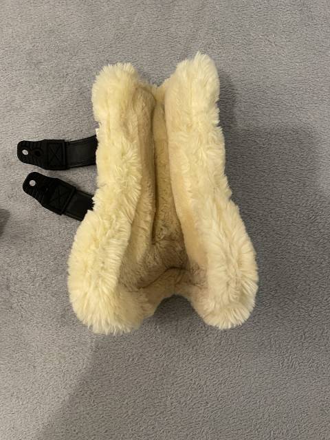 Guêtre back on track 