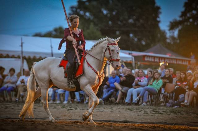 Etalon lusitanien cr&egrave;me 