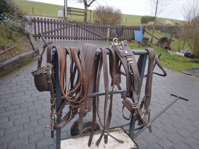 Harnais attelage simple