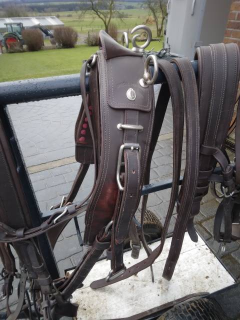 Harnais attelage simple