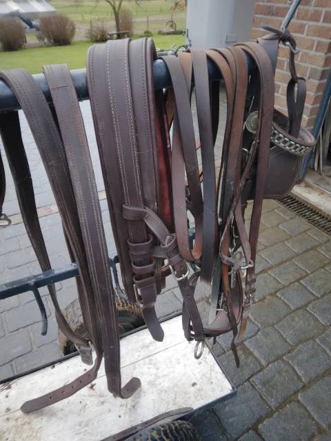 Harnais attelage simple