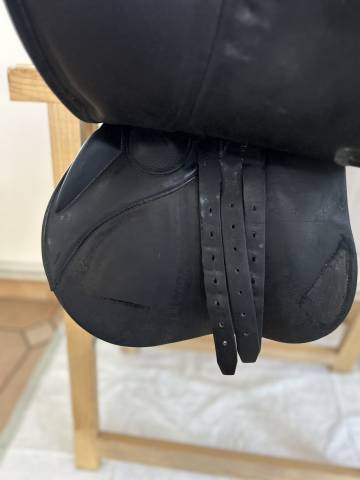 Selle Antares 17&rsquo; - Mixte/CSO