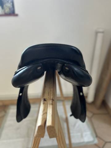 Selle Antares 17&rsquo; - Mixte/CSO