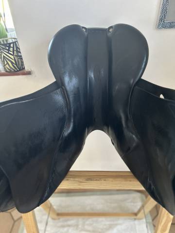 Selle Antares 17&rsquo; - Mixte/CSO