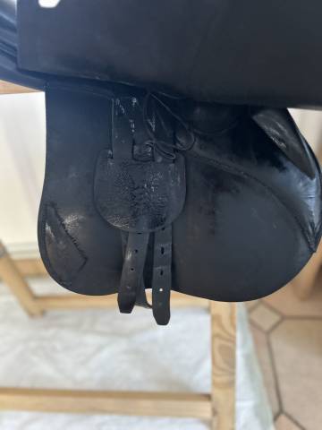 Selle Antares 17&rsquo; - Mixte/CSO