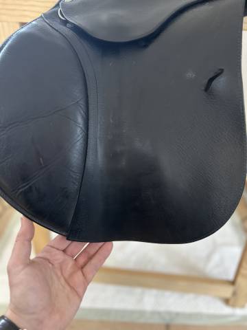 Selle Antares 17&rsquo; - Mixte/CSO